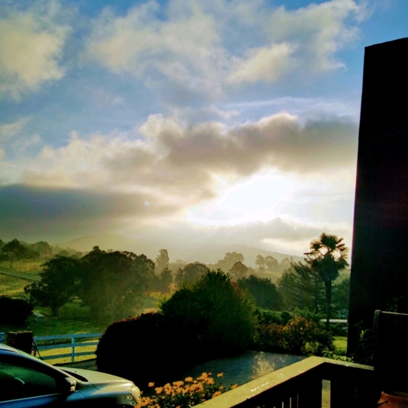 Meet your Posher, Genia - Picture 7 of 10